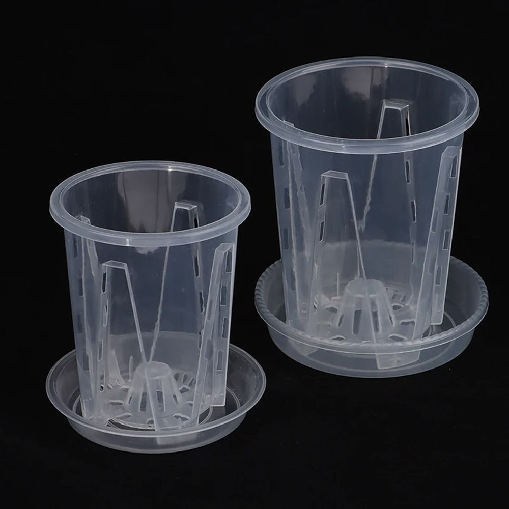 Vaso da fiori trasparente con  - Gardening Tools Wholesale recensione e prezzo