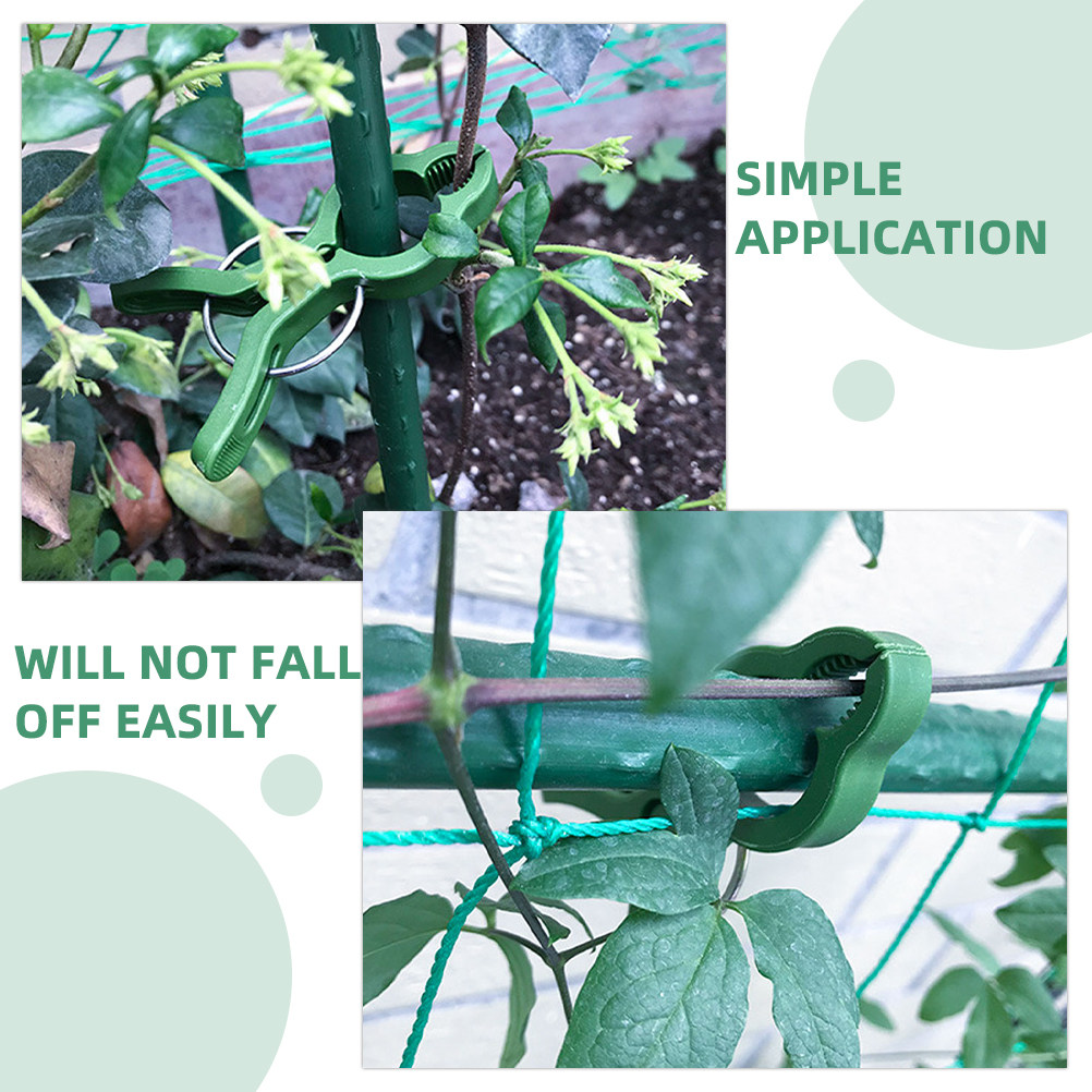 60 pezzi di clip per piante da - Gardening Tools For Vines recensione e prezzo