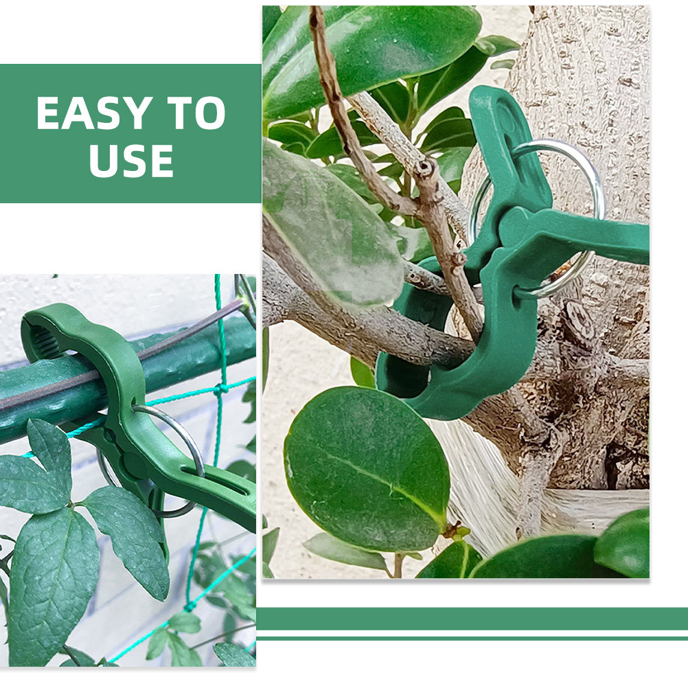60 pezzi di clip per piante da - Gardening Tools For Vines recensione e prezzo