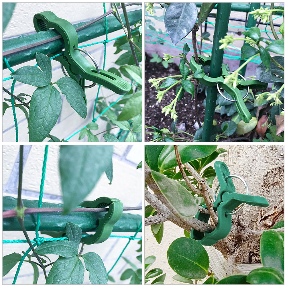 60 pezzi di clip per piante da - Gardening Tools For Vines recensione e prezzo