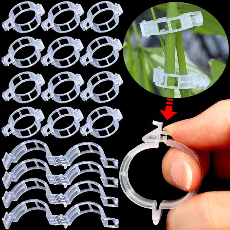300/50 Pezzi Clip di Supporto  - Gardening Tools For Vines recensione e prezzo